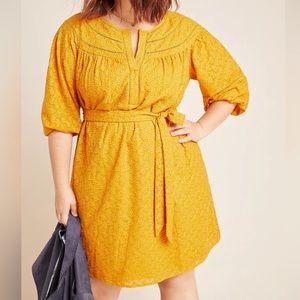 Anthropologie Embroidered Belted Dress by Daniel Rainn Sz 2X